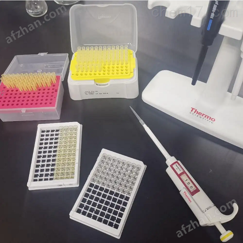 小鼠钠;钾离子转运ATP酶β1肽(ATP1β1)elisa试剂盒